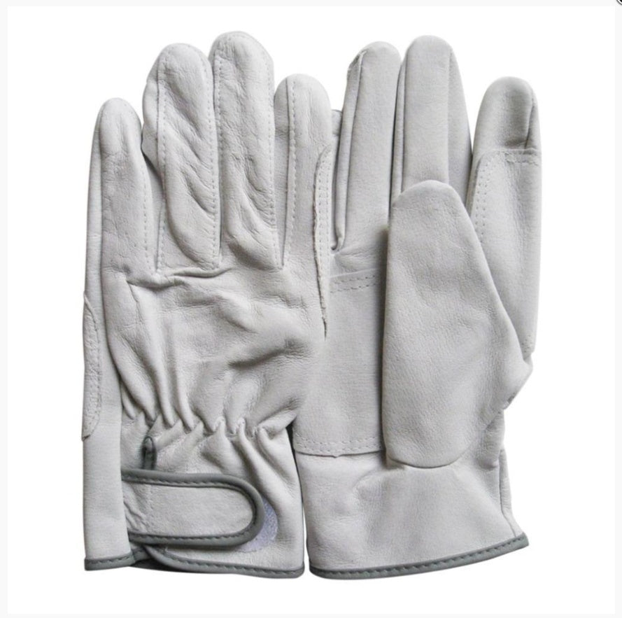 Surrey (Gloves)