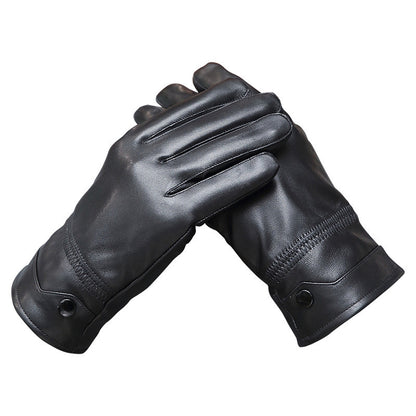 Linear (Gloves)