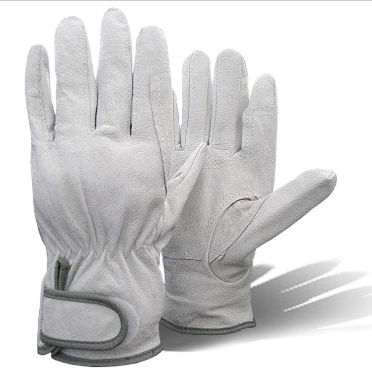 Surrey (Gloves)