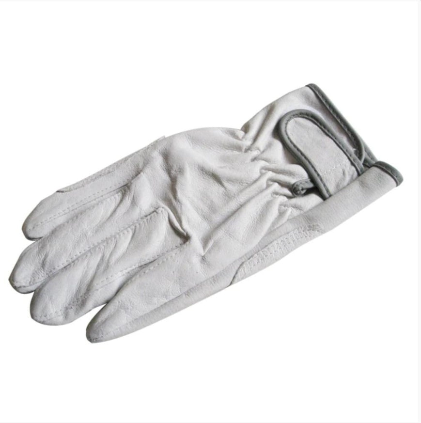 Surrey (Gloves)