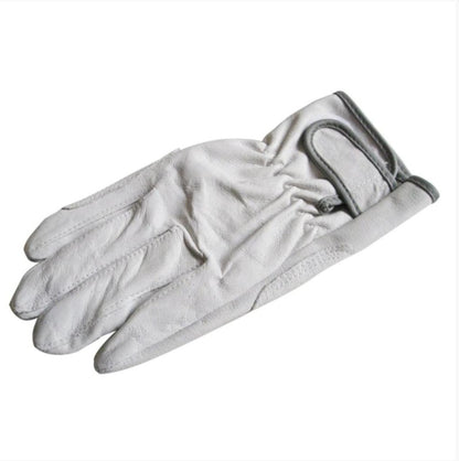 Surrey (Gloves)