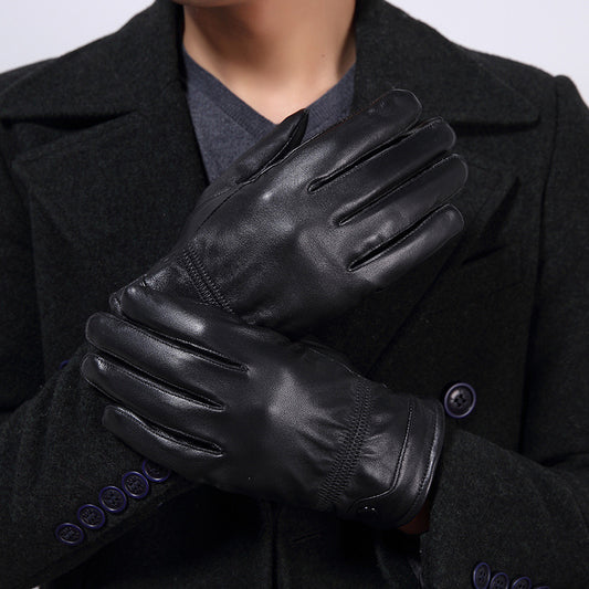 Linear (Gloves)