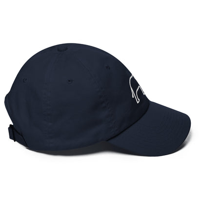 Wisdom (Navy)